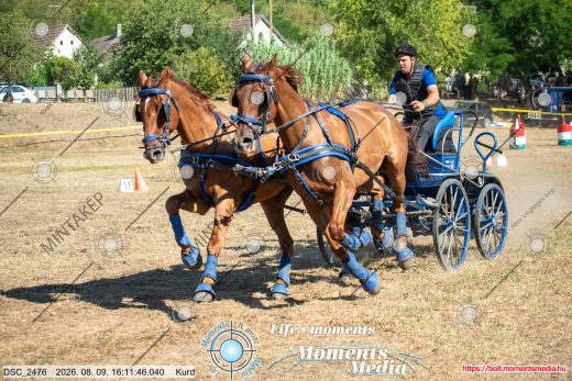 Mintakép 20260809-566