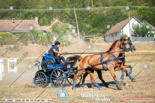 Mintakép 20260809-572