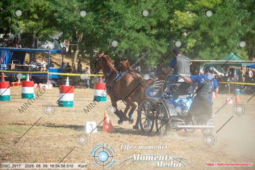 Mintakép 20260809-584