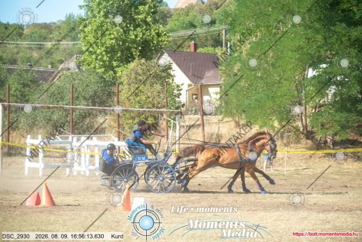 Mintakép 20260809-594