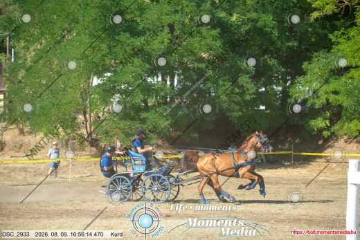 Mintakép 20260809-596