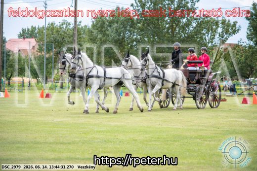 Mintakép 20260614-753
