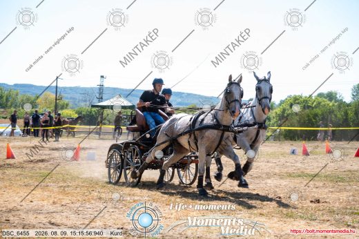 Mintakép 20260809-612