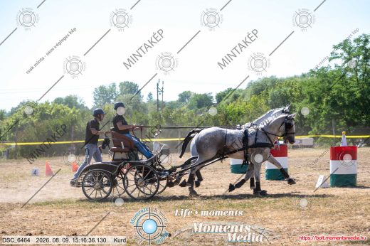 Mintakép 20260809-618