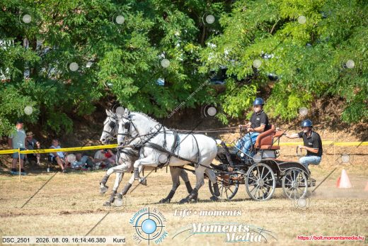 Mintakép 20260809-631