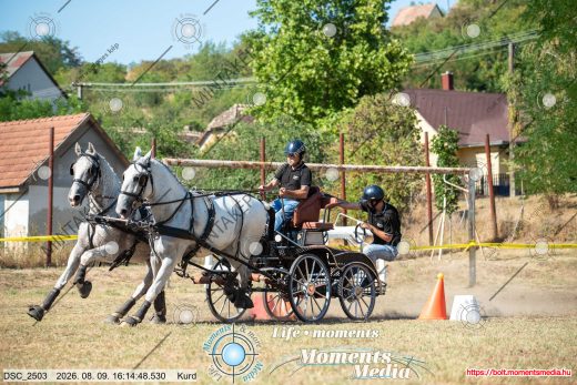 Mintakép 20260809-632