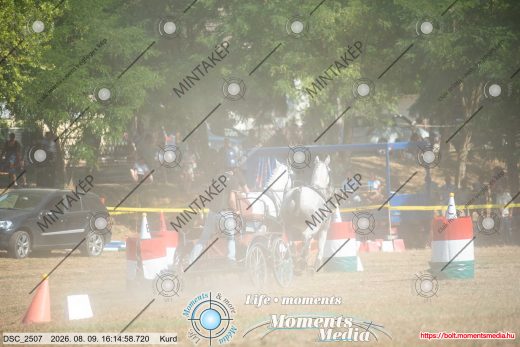 Mintakép 20260809-634