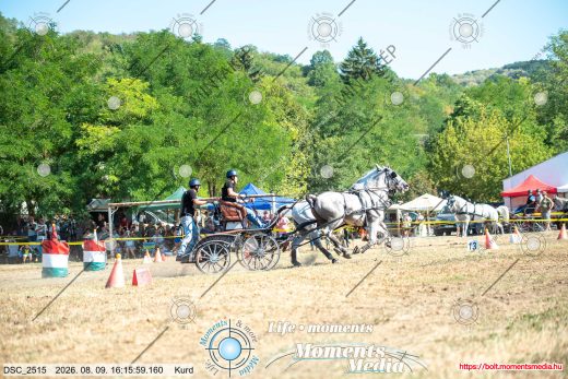 Mintakép 20260809-639
