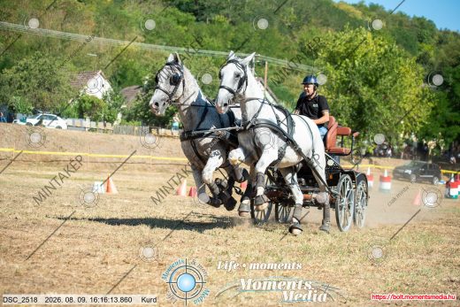 Mintakép 20260809-642