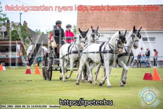 Mintakép 20260614-758
