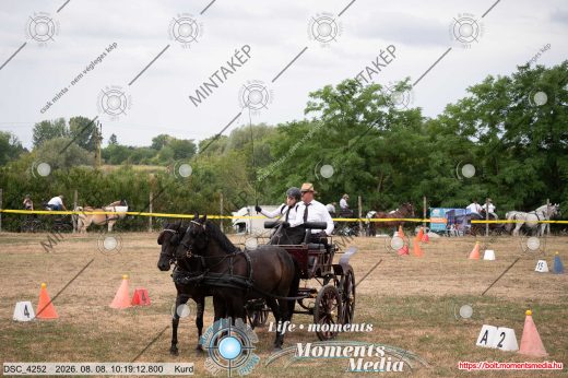 20260808-101912-DSC_4252.jpg