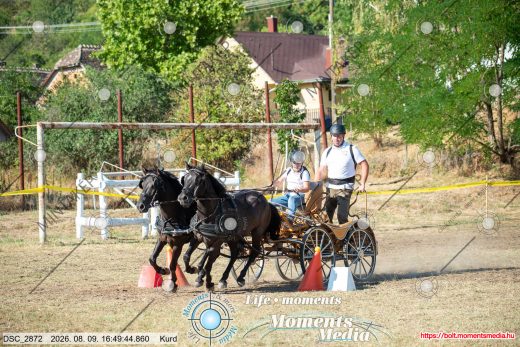 Mintakép 20260809-669
