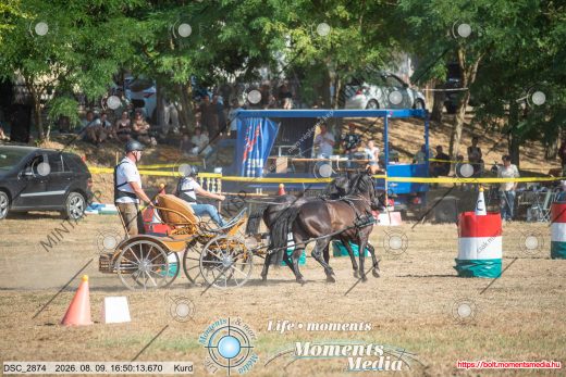 Mintakép 20260809-671