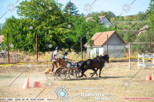 Mintakép 20260809-679