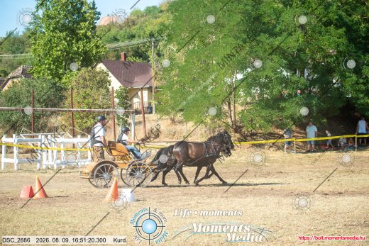 Mintakép 20260809-680
