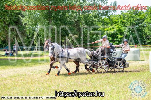Mintakép 20260613-132