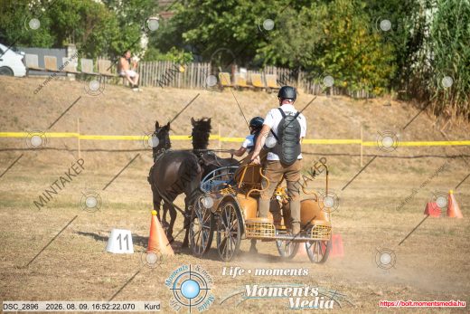 Mintakép 20260809-686