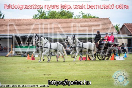 Mintakép 20260614-764