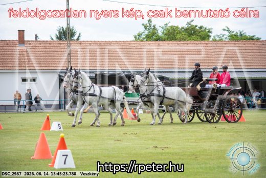 Mintakép 20260614-765