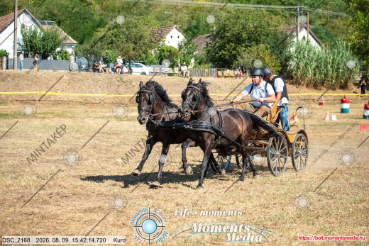 Mintakép 20260809-727