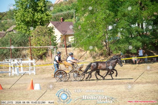 Mintakép 20260809-729