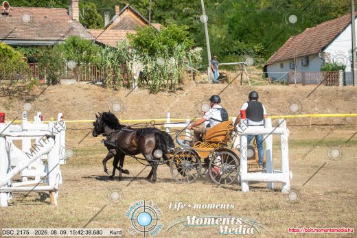 Mintakép 20260809-732