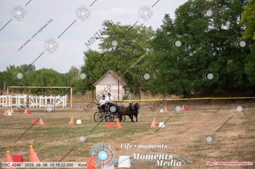 Mintakép 20260808-184
