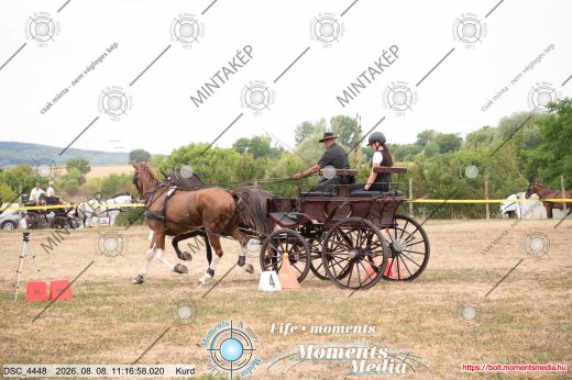 Mintakép 20260808-195