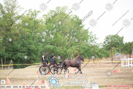 Mintakép 20260808-197