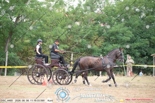 Mintakép 20260808-208