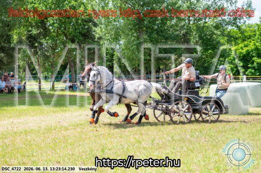 Mintakép 20260613-133