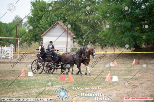 Mintakép 20260808-232