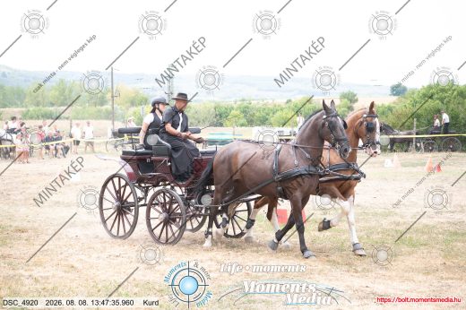 Mintakép 20260808-241