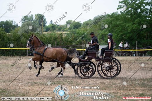 Mintakép 20260808-249