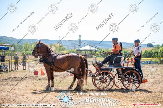 Mintakép 20260809-743
