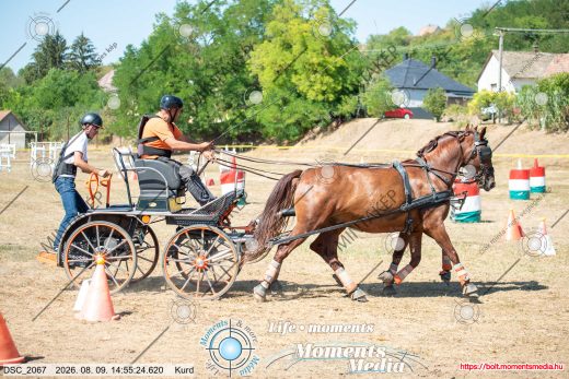 Mintakép 20260809-764