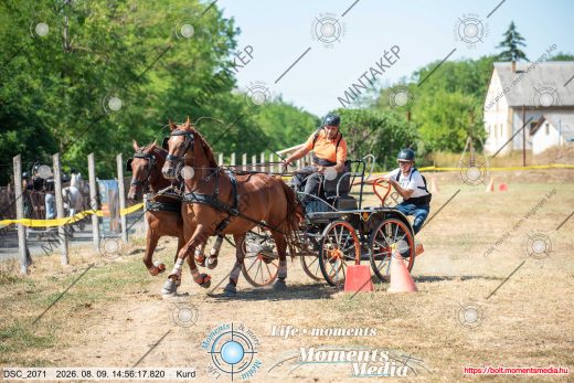 Mintakép 20260809-770