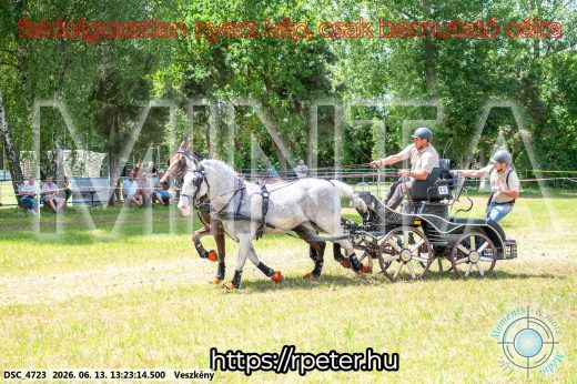 Mintakép 20260613-134