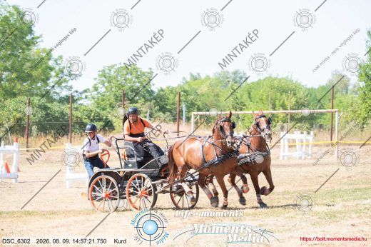 Mintakép 20260809-774