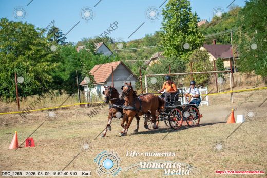 Mintakép 20260809-785