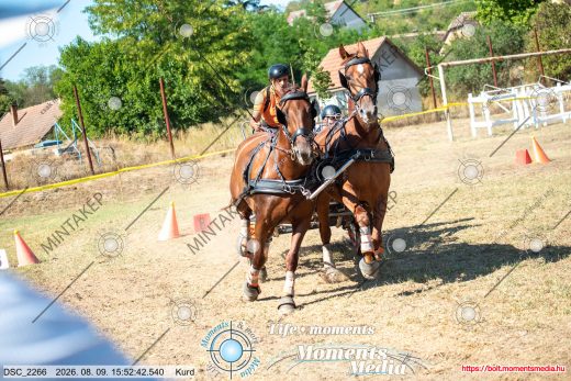 Mintakép 20260809-786