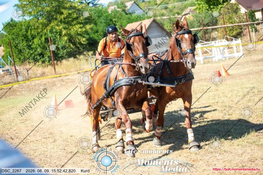 Mintakép 20260809-787