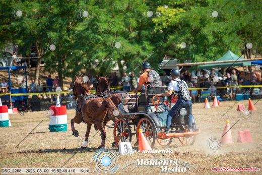 Mintakép 20260809-788