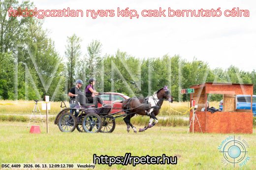 Mintakép 20260613-1588
