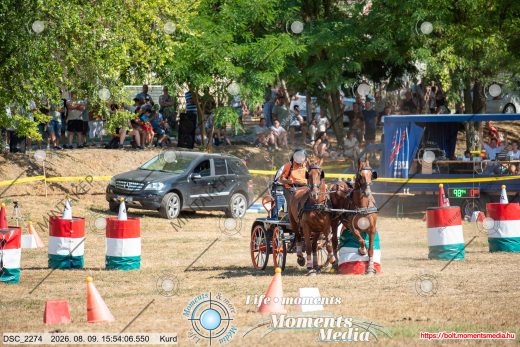 Mintakép 20260809-793