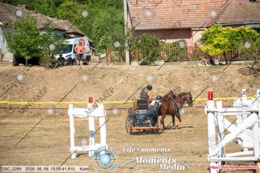 Mintakép 20260809-801