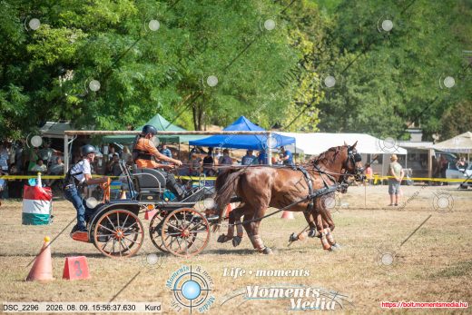 Mintakép 20260809-807