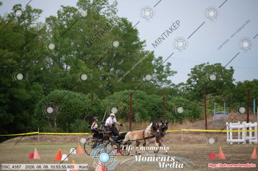 Mintakép 20260808-281