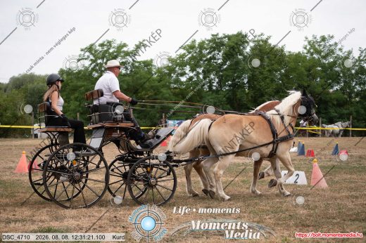 Mintakép 20260808-287