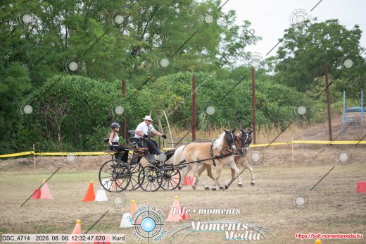 Mintakép 20260808-289